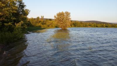 Прикрепленное изображение: водх2.jpg